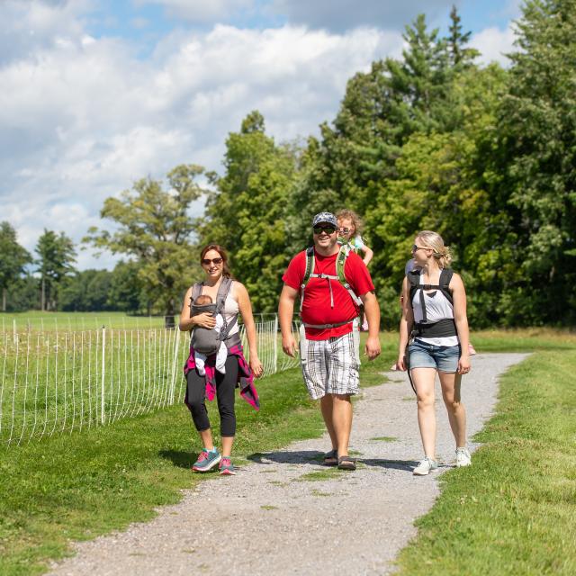 Family walking on a trail