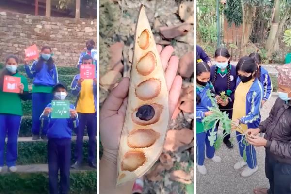 Students from Kopila Valley School hold up SDG posters; meet with village elders to identify plants; and hold a native plant on campus, part of their Cultivating Pathways project for 2021-22.