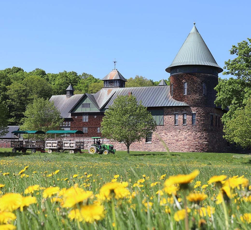 Farm Barn with tractor pulling passenger wagons in front, and dandelions