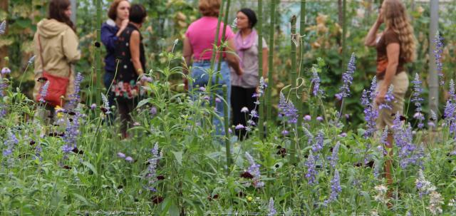 Members gather in a garden.