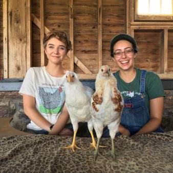 two chickens on a table with farmyard educators seated behind them.