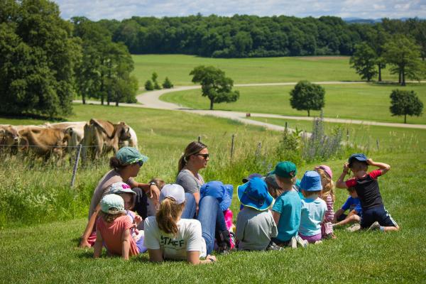 group of students sitting on hill behind the Farm Barn