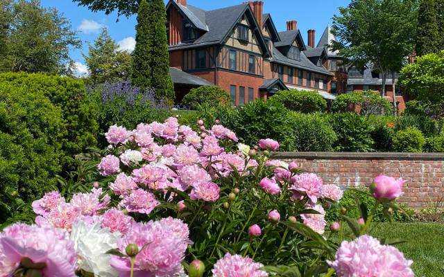 The Shelburne Farms Inn seen from the flower gardens, pink peonies in the foreground.