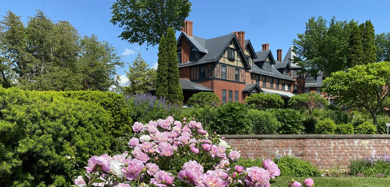 Inn in background; peonies in foreground