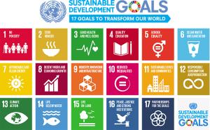 The Sustainable Development Goals