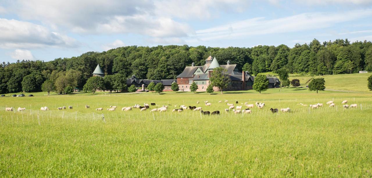 A large, expansive historic barn is seen from a distance, nestled among rolling green pastures dotted with sheep. Tree-covered hills rest behind the barn underneath a blue sky dotted with clouds.