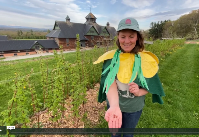 Woman in bean plant costume